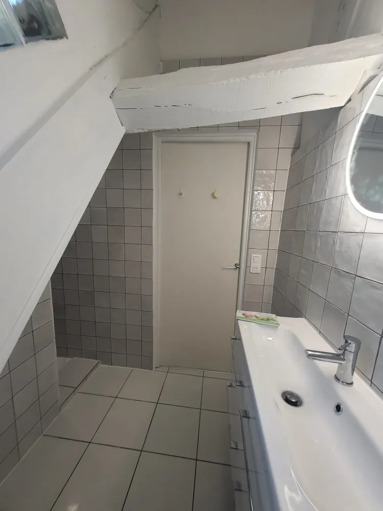Salle de bain avec charpente apparente