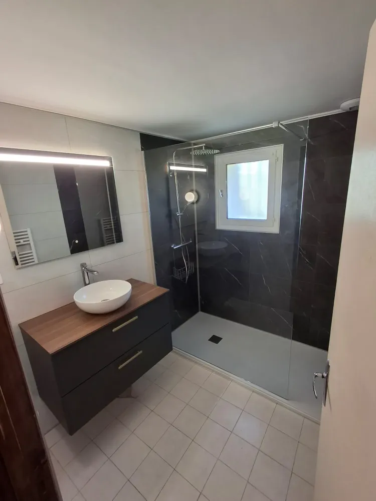 Salle de douche avec meuble et vasque